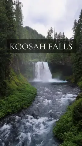 Koosah Falls, Oregon #pacificnorthwest #oregon #river #waterfalls #naturelovers 