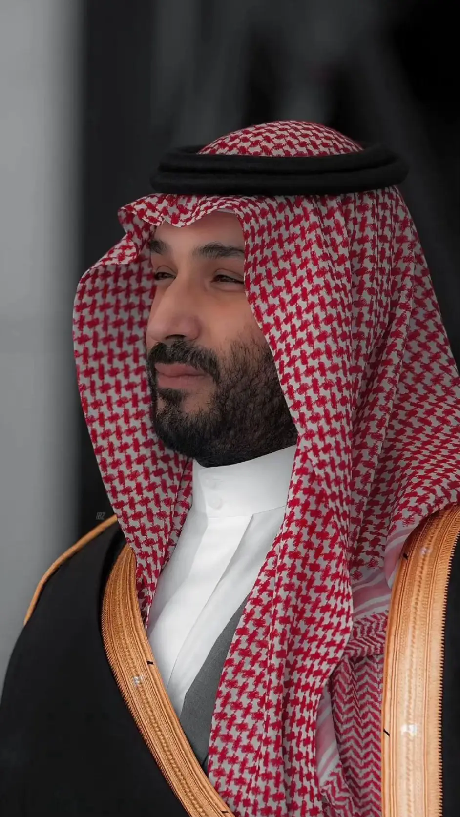 #السعوديه #ال_سعود #محمد_بن_سلمان #ولي_العهد_محمد_بن_سلمان 