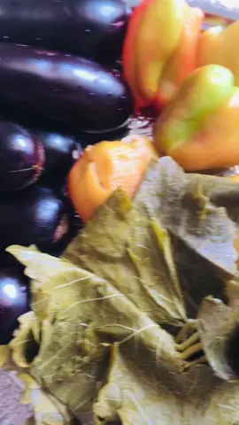 Sarma Dolma#gününmenüsü#akşamyemeği#sunum #yemek#keşfetteyizzzzz #keşfet #suruç #urfa #🤩😋🤗 
