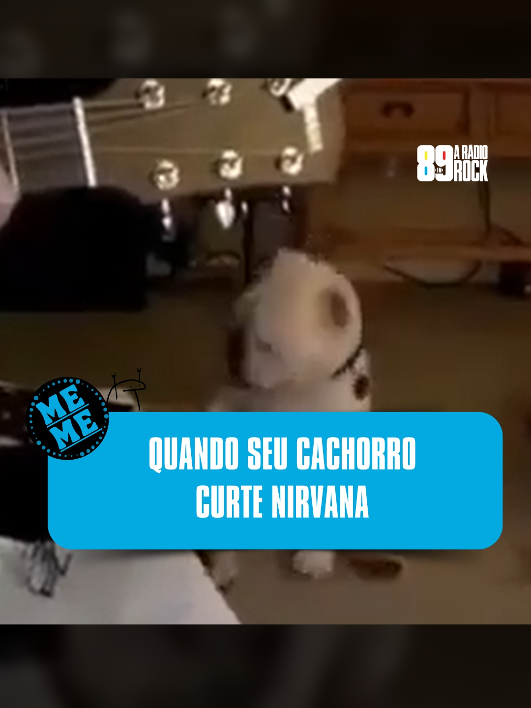 QUANDO SEU CACHORRO CURTE NIRVANA O doguinho de mais alguém é assim também? Crédito: reprodução internet #89 #89fm #89aradiorock #89fmaradiorock #radiorock #aradiorock #rock #vivaorock #nirvana #comeasyouare #cachorro