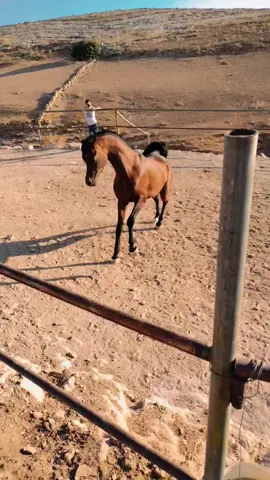 دُلني على كتابٍ لا أكون بعدهُ كما كنت قبله !