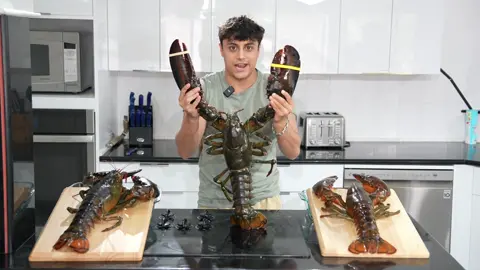 At this point gimme the whole ocean 😤😤 #lobster #mainelobster #lobsters #cookinglobster #steamedlobster #longervideosontiktok 