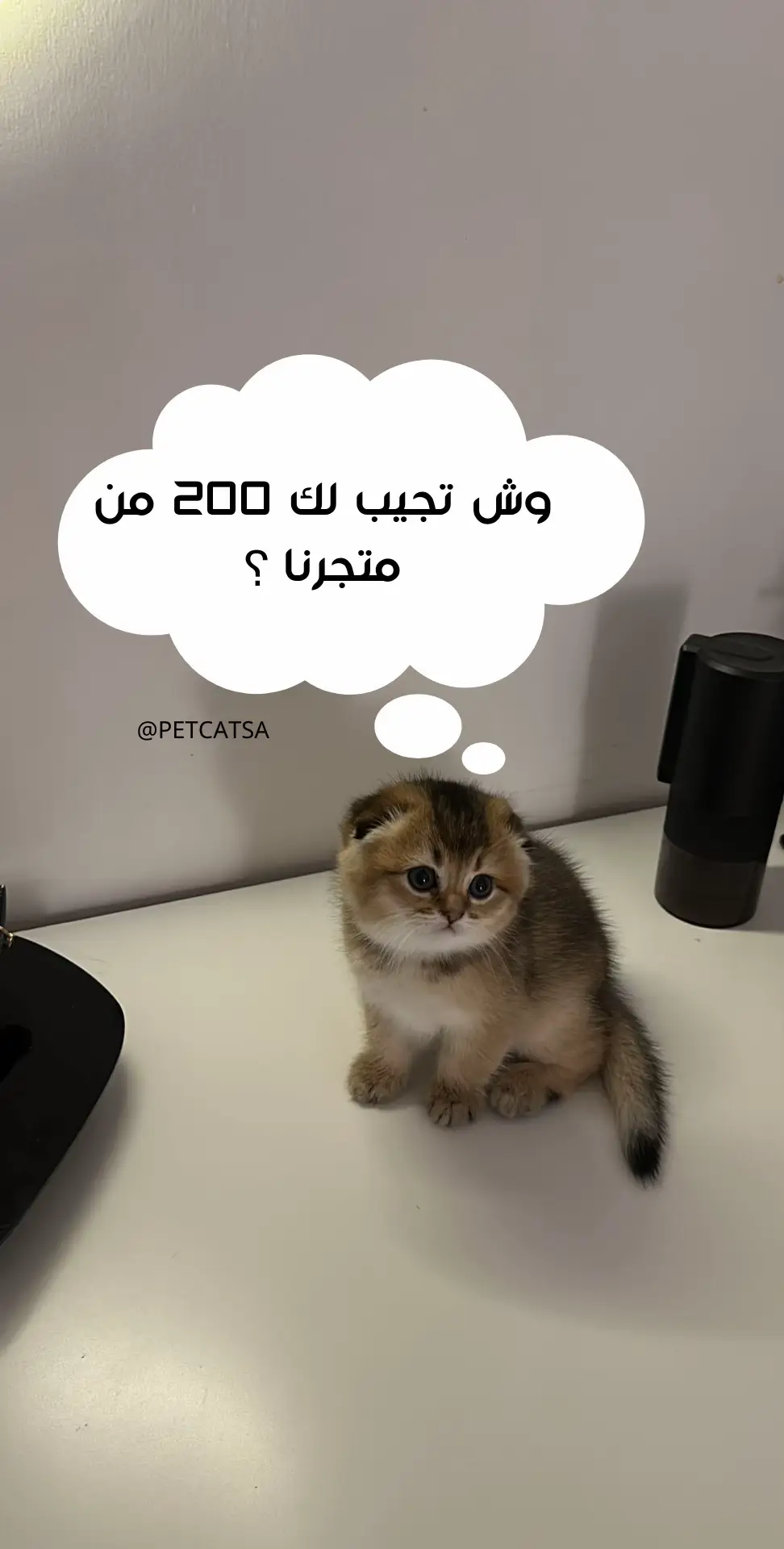 تابعوني للمزيد من المعلومات🤍 بكج قطط✨