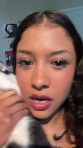 How do people take cute videos with their pets??