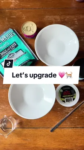 Whos ready to upgrade their cat food?! 💃🏻✨💗 Foods used in this video: Rawz - Salmon Pate @Northwest Naturals - Green Lipped Mussel @Lotus pet foods - Beef Tripe Bark & Whiskers - Probiotics #catfood #cattips #catnutrition #cathealth #catlife #catmom #rawfeeding #obligatecarnivore #catcare #cat101 #kitten #cattok #bestcatfood #catmeal 