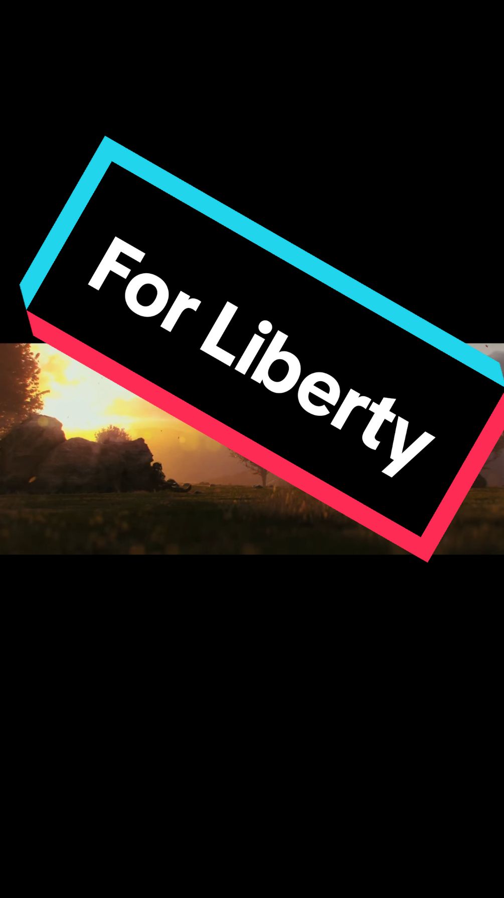 For Liberty and Democracy #fyp #gaming #helldivers #gamers  #foryou 