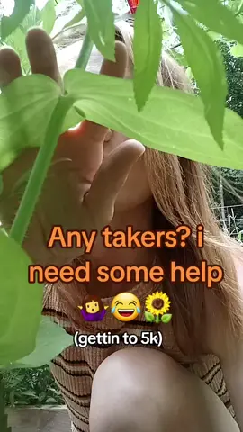 anyone wanna help 😂only 520 to go!! #roadto5k #fy #garden #funny #MomsofTikTok #follow 