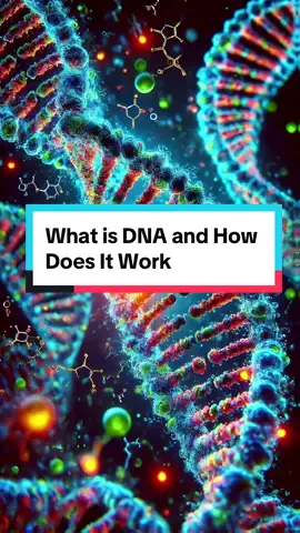 What is DNA and How Does It Work. Ever wondered what DNA is and how it makes you, you? Discover the amazing world of DNA and how it's the blueprint of life! #fyp #learnwithtiktok #DNA #ELI5 #Learning #Genetics #Science #Biology #lifescience #howitworks #facts 