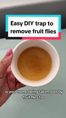 Is your kitchen under attack from fruit flies? Use this hack to get rid of them fast.  #fruitflies #fruitflytrap #cleaninghacks #cleaningtips #naturalbugcontrol #naturalpestcontrol #cleaninghacks 