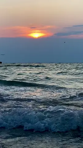 Sunrise today 🌅 #goodmorning #ludmilayakovichishina #recommendations #myvideo #odessatiktok #seaview #sea #wave #nature #waves #bird #одесса #рекомендации #реки 