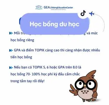 Các loại học bổng du học bạn nên biết #duhocsinhhanquoc🇰🇷 #duhocgea #duhochan #gea 