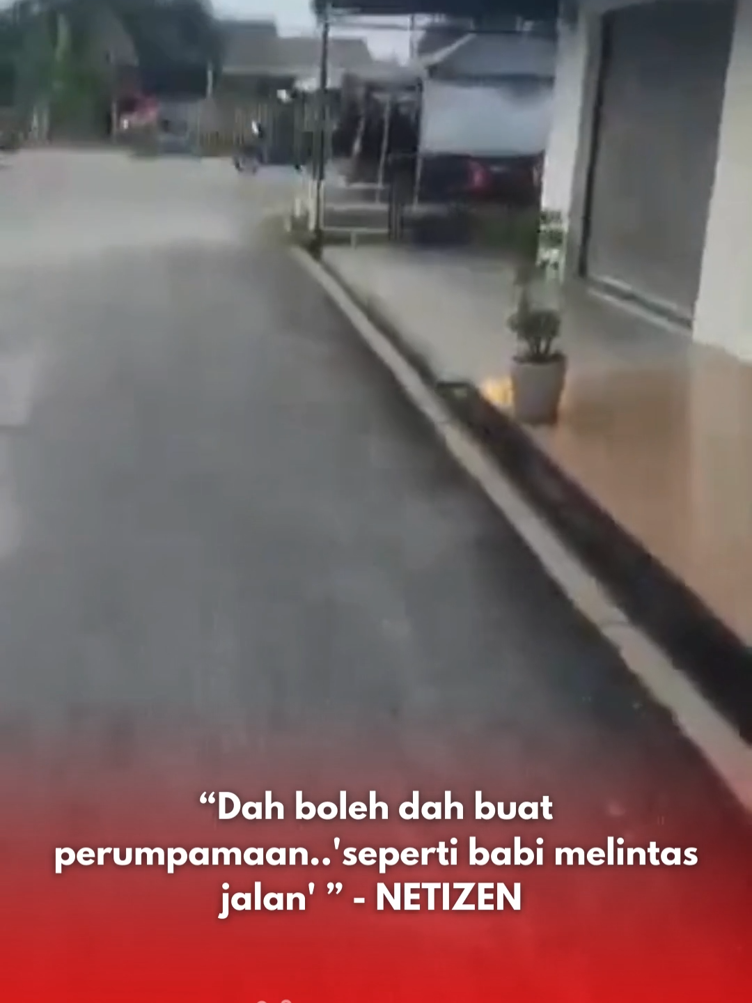 “Dah boleh dah buat perumpamaan..'seperti babi melintas jalan' ” - NETIZEN #babimelintas #kemalanganjalanraya #kemalanga #jalanraya #rwfyp #fypp #fpchannel #fikrahpahang