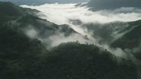 Typical mornings in Tanay, Rizal🌤️ #adventure #travel #dronevideo #tanay #rizal 