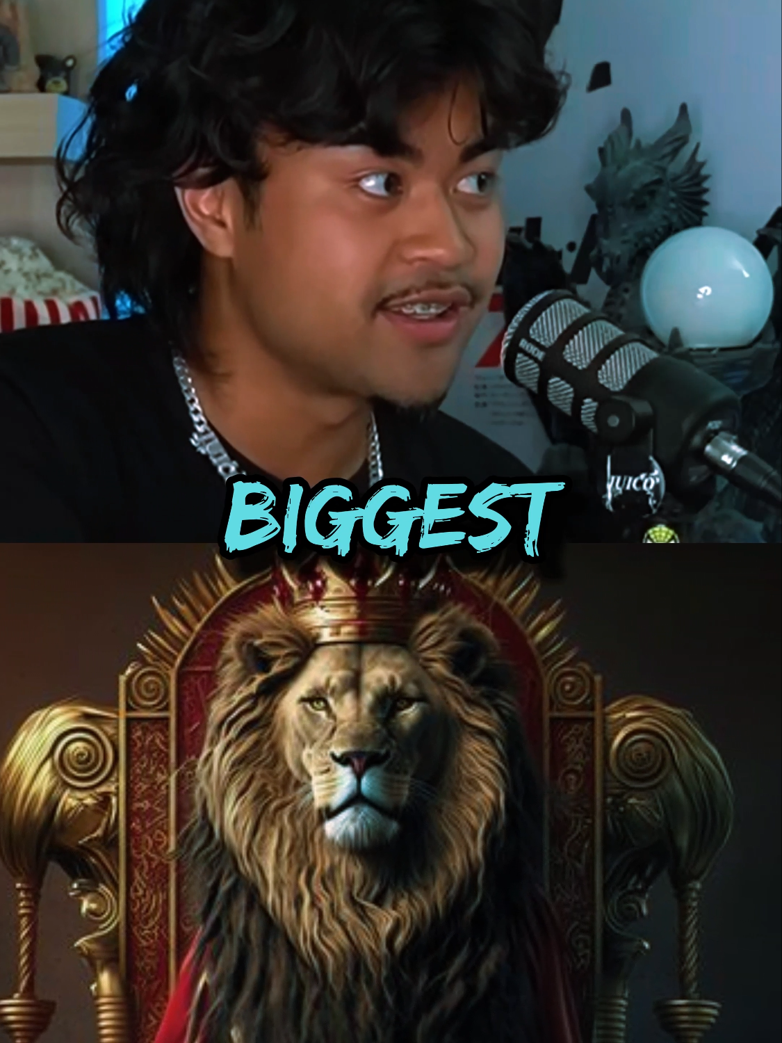 Why the Lion is the King of the Jungle