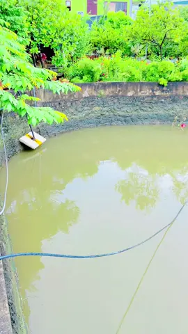 Thêm mô tả… #xuhuong #xuhuongtiktok #farm #farmervietnam #garden 