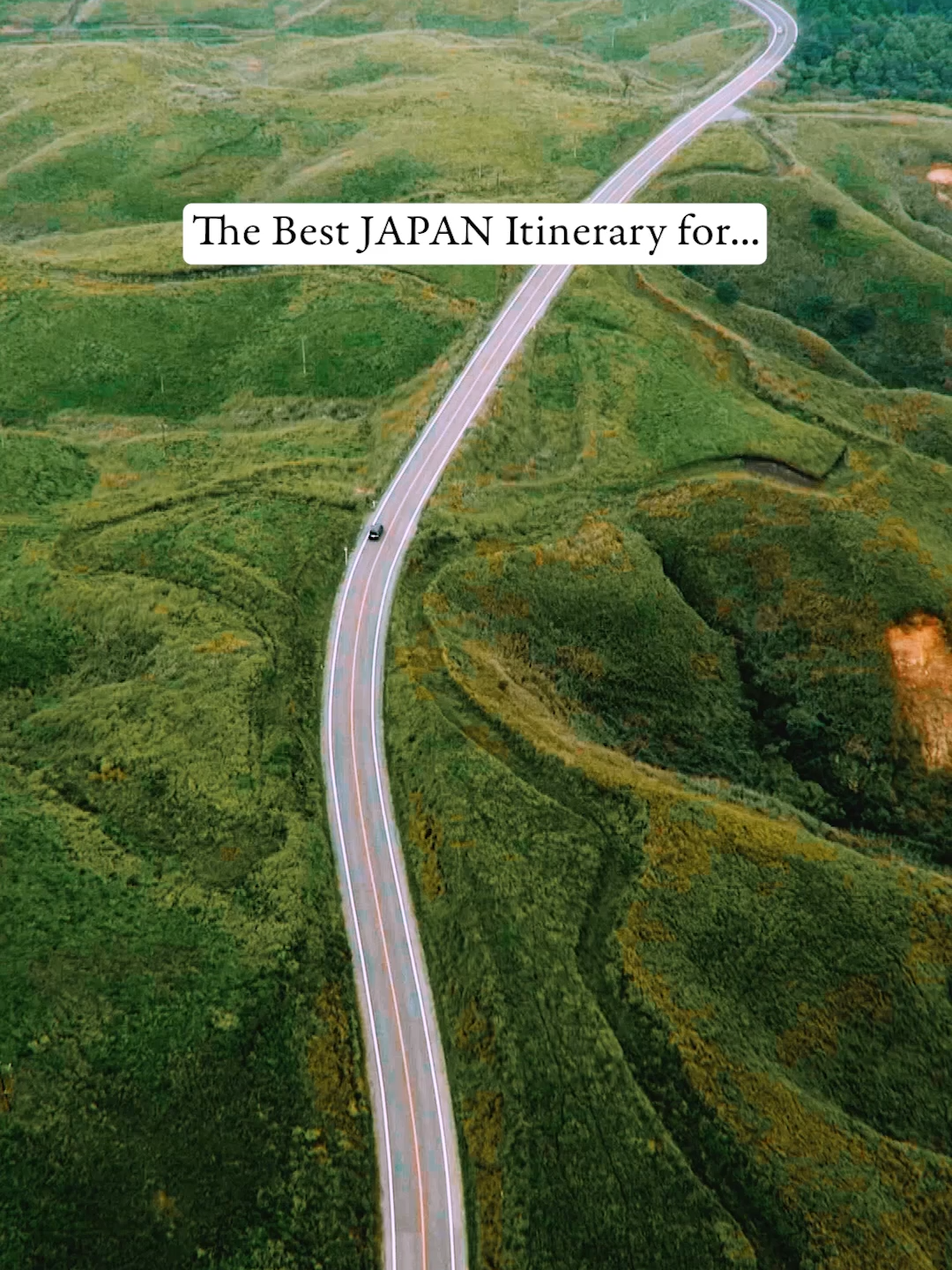 Move over cherry blossoms, it's time for fresh greens to steal the show 🌿 💚 📽 @akiratrip_  📍 Japan #japanitinerary #japantravel #japan #beautifuldestinations #traveltiktok