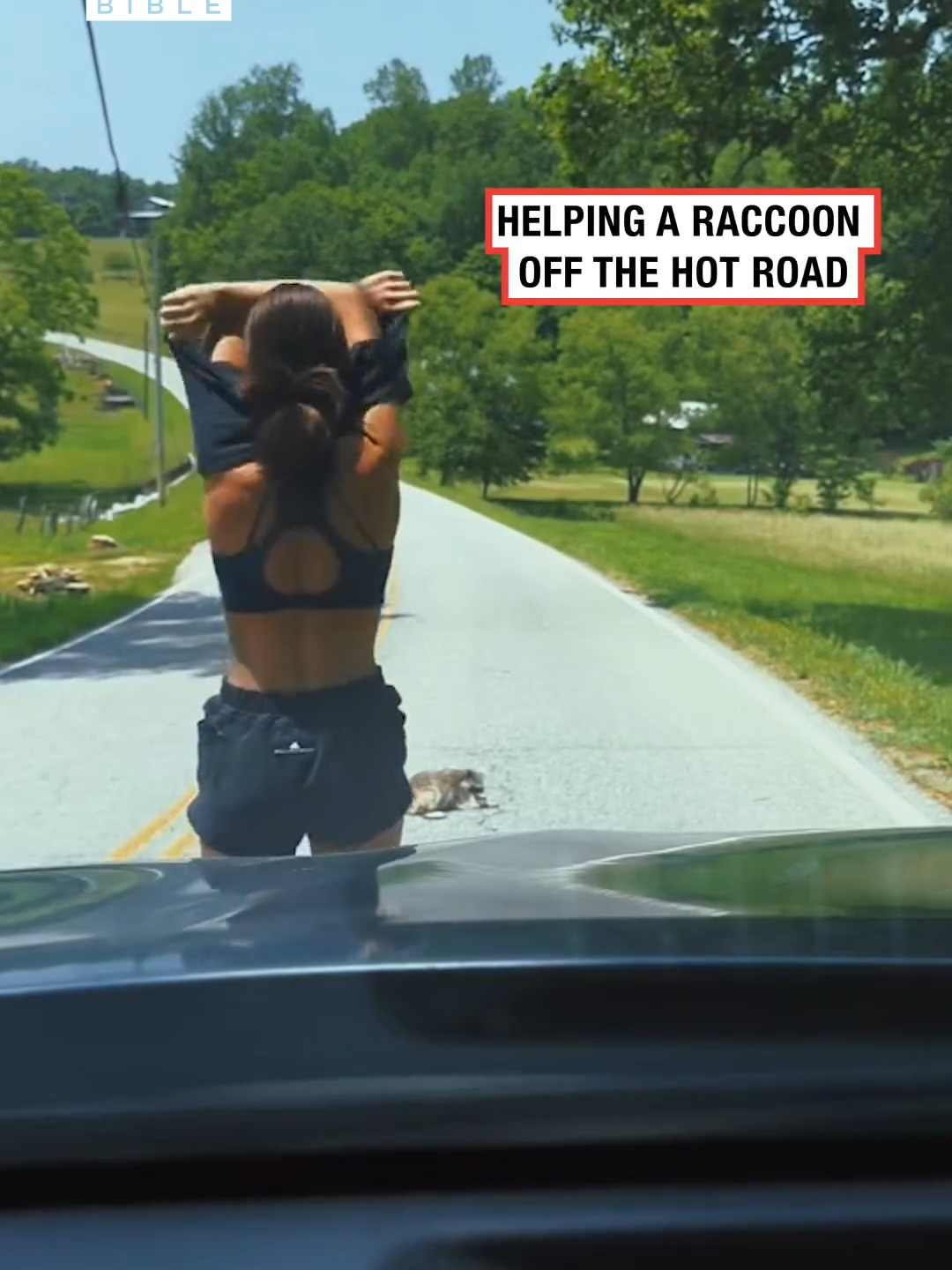 Lady saves a raccoon off the hot road 🦝 (🎥: IG/ a.ann_26) #ladbible #savinganimals #animalrescue #raccoon #animals