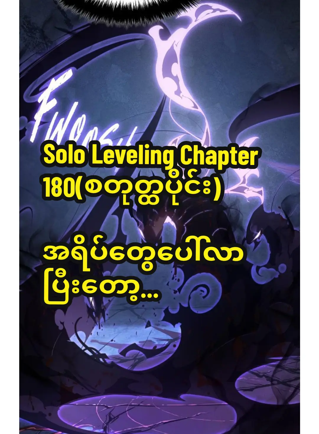 အရိပ်တွေပေါ်လာပြီးတော့...#final #fyp #saung21k #sololeveling #manhwa #manhwaedit #emscanschannel #timetravel #shadow 