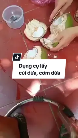 Dụng cụ lấy cùi dừa, cơm dừa #bepnhanguyet #lấycuidua #nhancomdua #daonhipxe #thépkhônggỉ 