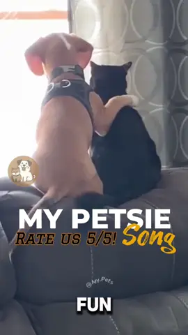 @Adam & Elea @My Petsie @My Petsie @Adam & Elea My Petsie: The Funniest Pet Song Ever! 🐾🎶 #MyPetsie  _______________ Follow @my.petsie  For More Daily Videos 🔥❤️ _______________ ❤️ Double Tap If You Like This  🔔TurnOn Post Notifications  🏷️ Tag Your Friends  _______________ Plz Dm for credit & removal 💬 _______________ Get ready to laugh and smile with ‚My Petsie‘! This is my first try at creating a song with AI, and I hope you love it as much as I do. Watch our hilarious music video featuring the goofiest dogs, the silliest cats, and the most playful pets. Please rate us 5/5, and don’t forget to use the sound in your cutest or funniest Petsie videos if you like it 🙈. #MyPetsieSong #FunnyPets #PetLovers  _______________ Our social Media : 👇(contact on us Instagram    @my.petsie & @my.petsie1 & @mypetsie1 _______________ #MyPetsie #FunnyPetVideo #PetSong #DogLovers #CatLovers #PetLovers #PetAntics #ComedyPets #AnimalLovers #CutePets #Rate5Stars #HappyPets #ViralPets #InstaPets #FunnyPets #FunnyDogs #FunnyCats #FunnyVideo #AmineBelhouaei #AdamAndElea 