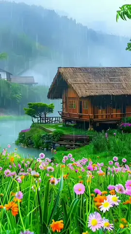 Spring rain ☔ 🎶 #rainy #rainydays #rainlovers #raindrop #naturelife #springrain #springtime #blossom #garden #flowers #green #water #feelings #video #colours #cosy #cottage #village #edit #explore #calming #shooting #healing #relax #trend #trending #viralvideo #viraltiktok #fy #fypage #fyppppppppppppppppppppppp #fypdongggggggg #fypp 