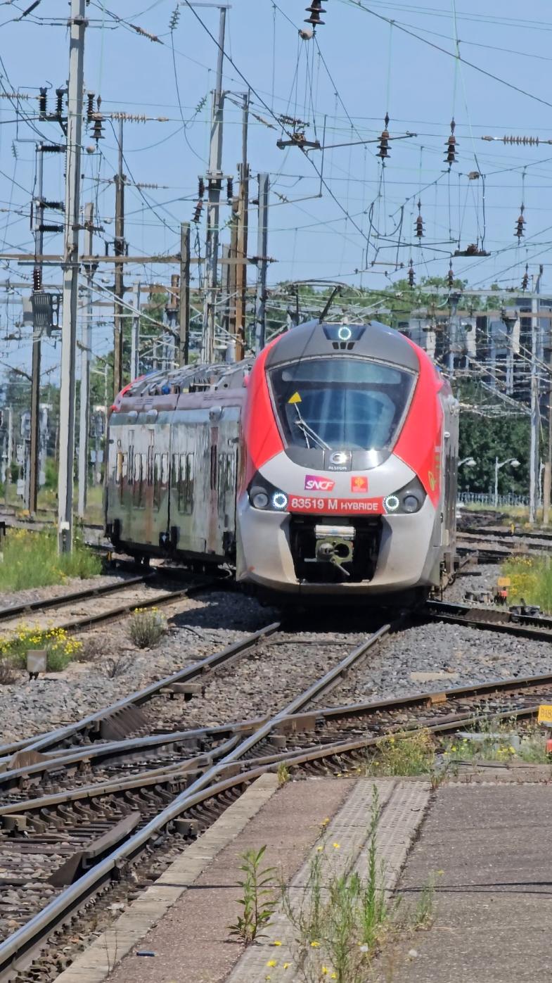 🚄Regiolis hybride  📍Gare de Strasbourg  Merci pour sifflet 😬 ---------------‐---------------------------- #conducteurdetrain #train #pourtoi #trainhybride 