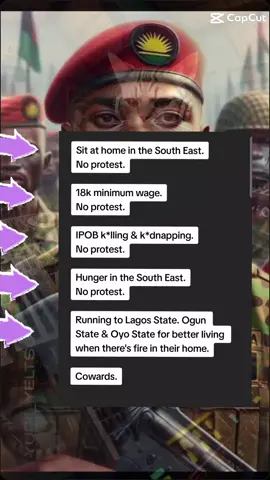 #nigerianpolitics #biafrareferendumnow #freemazinnamdikanu #nedubiafra #igboamaka😍😍🇳🇬🇳🇬 #giveusbiafranow 