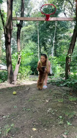 Je to tak jak to je #fyp #nebavi #fypage #tiktoksound #sinay #fypage #life #dog #forest #batterylife #familytime #protebe #protebestránka #fypシ゚ #fypsounds #fypツ #teamwork 