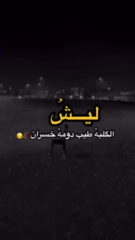 #ليش_الگلبه_طيب_دوم_خسران 