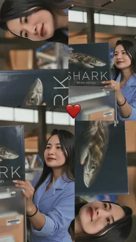 #CapCut theo bạn đặc điểm & tính cách con Shark có gì nổi bật?#xuhuong #trendingpost #xuhuongreels #trend #xuhuongreels #xuhuongtiktok 