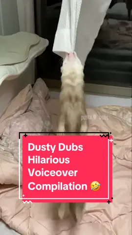 Dusty Dubs Hilarious Voiceover Compilation 🤣 (female VA = @Danielle Threet) #voiceovers #animals #hilarious #dustydubs 