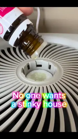 The list of things you need an air purifier for. Make that air fresh and clean! 😳 #levoitairpurifier #levoit #airpurifier #pets #allergies #viral #tiktokshop #amazingdeal 