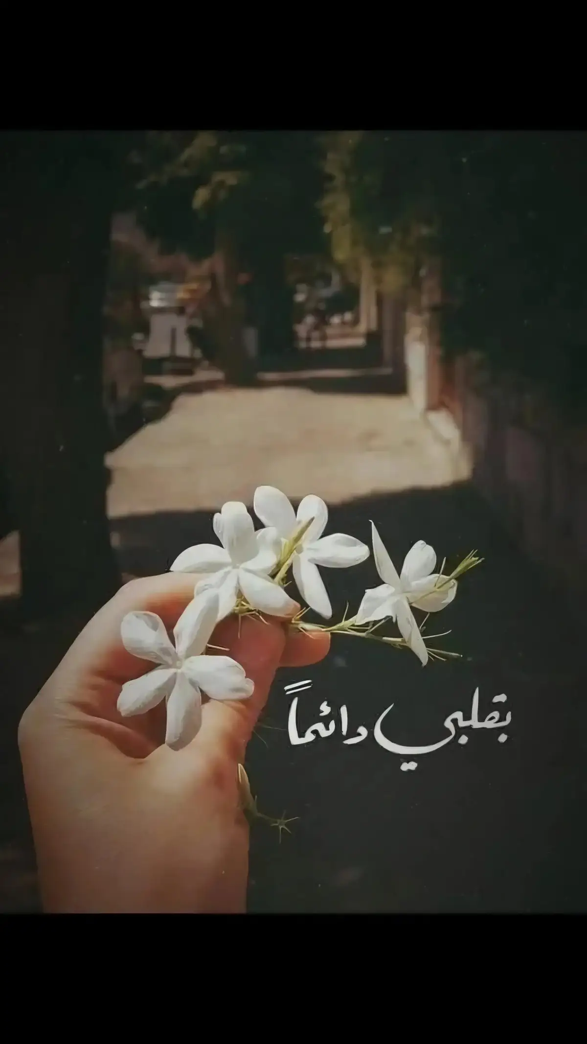 #حبيتتتت🔐🖇⛓️ #❤️🥺🦋M #♡M 