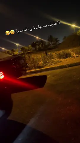 #mohamedia الحلوف كايتسارا 😂😂
