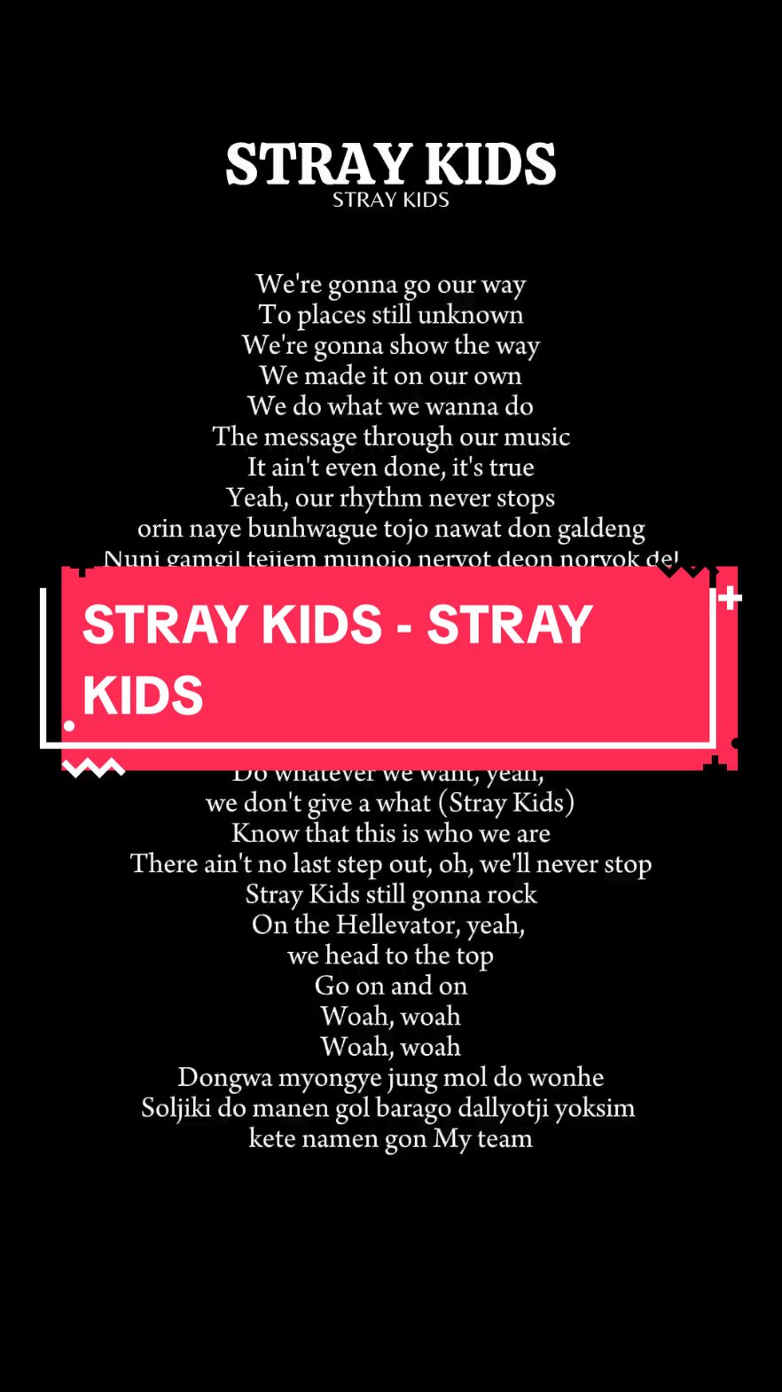 STRAY KIDS - STRAY KIDS #straykids #stay 