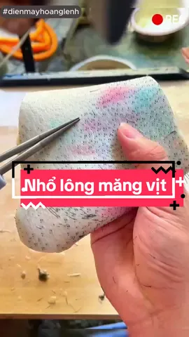 Máy nhổ lông măng vịt, lông heo cầm tay thế hệ mới #nholongvitbangmay #maynholongmangvit 