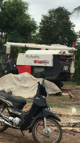 #ធីម101🥰🌾 ច្រូតភ្លៀងៗ😂