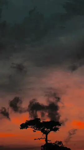 100k වලට repost කරන යන් 💗😞For Admin 🤍❗️ #bhanu_official1_ #foryou #foryoupage #viralvideo #backgroundvideo #clouds #sunset #evemingvibes #nature #colombo #foradmin❗️ #srilankan_tik_tok🇱🇰 @Dulmi_official ❤️‍🩹 @𝗔𝗠𝗔 ! @𝐓𝐡𝐞.𝐤𝐚𝐥𝐮 @𝑫    𝑬 𝑵    𝑼     🍃🖤👣 @ΛVI ! @𝐌𝐬.𝐑 𝐎 𝐒 𝐈 🥀 @𝙎𝙪𝙙𝙝𝙖 : ) 🫀🤍 @𝘔𝘐𝘕𝘋 🪐 @𝙆𝙚𝙨𝙝𝙞  🐷🩵 @Imu_🧸💗 