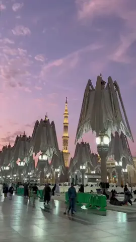 Suasana Syuruq, ketika Payung Masjid Nabawi terbuka 😍❤️ . #yourtravelpartner #abusiraj #umroh #ttpetualangpro #masjidnabawi #madina 