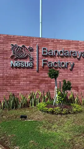 Halo Sahabat Hermina👋🏻👋🏻 RSU Hermina Pekalongan melakukan pemeriksaan kesehatan karyawan Nestle Bandaraya Factory Batang seperti gula darah sewaktu, cek tekanan darah dan konsultasi dokter bersama dr.Dino  serta edukasi kesehatan dengan dokter spesialis penyakit dalam RS Hermina Pekalingan dr. Ibnu Mas'ud, Sp.PD. Dengan kegiatan ini kami semoga dapat menjalin silaturahmi dan dapat menjadikan RSU Hermina Pekalongan sebagai tempat pelayanan kesehatan. Konsultasi kesehatan sahabat hermina di RSU Hermina Pekalongan.