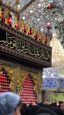 #شگلتيلة_يزينب_گوم_وياي#CapCut #محرم_عاشوراء #ياحبيبي_ياحســــــــــين #ليلة١١محرم #حرگو_خيمت_زينب_چاوين_العباس #باسم_الكربلائي #خلص_الكلام_يم_الگمر #اللهم_تقبل_منا_هذا_القربان #كربلاء 