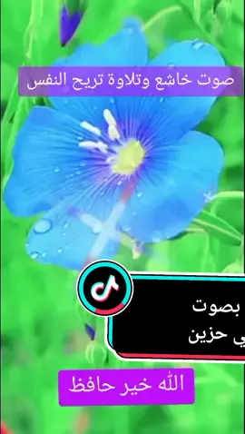 #قران بصوت عراقي حزين #قران حزين جدا للبكاء#قران حزين بصوت حزين وخشوع وابداع#اجمل أصوات القران الكريم حزين عراقي #قران بصوت يهز الجبال#صوت عراقي حزين