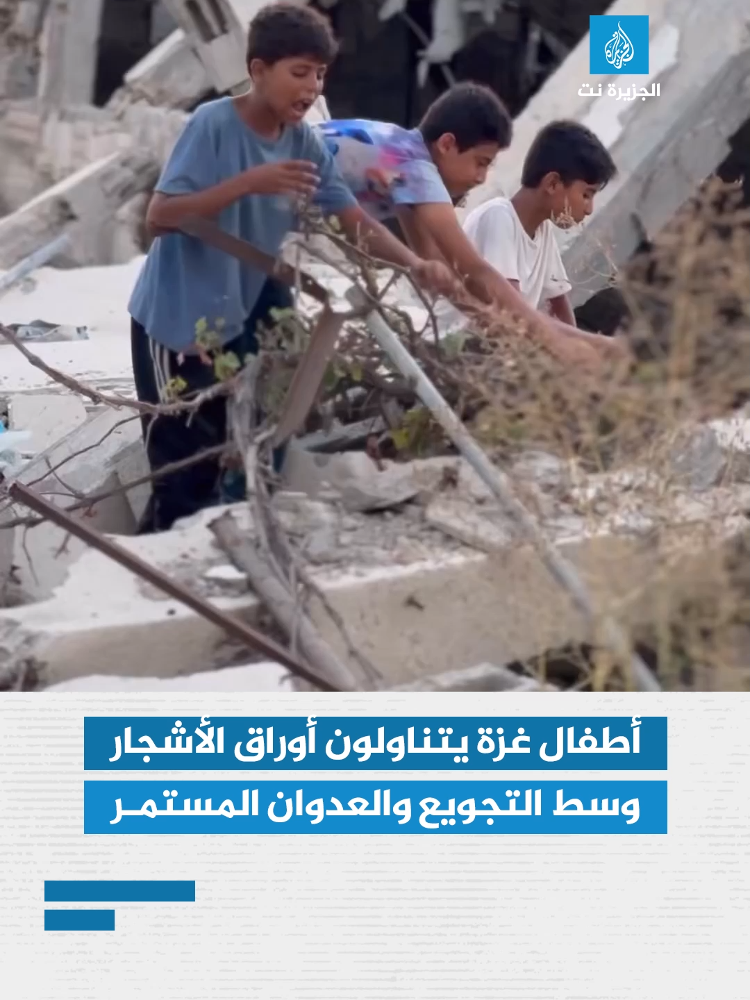 أطفال غزة يتناولون أوراق الأشجار وسط التجويع المستمر والعدوان الإسرائيلي الدائم على القطاع #أطفال #غزة #قطاع_غزة #إسرائيل #الاحتلال #قصف #الأشجار #الغذاء #الطعام #الجزيرة