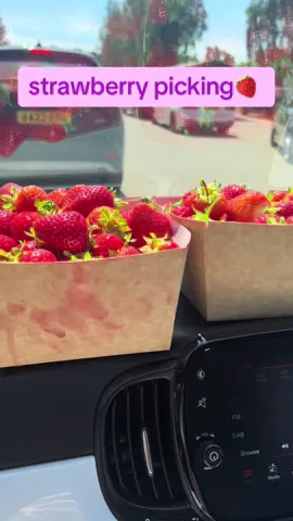 even if i get out if the house to do things, im always thinking about how different it would all look if Maddie was still here 🕊️  #lossmom #griefjourney #childloss #grief #griefandloss #childloss #grief #bereavedmother #strawberry #strawberrypicking #pyo #farm 