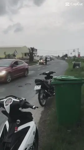 đường em ik toàn hoa với cỏ đường a về toàn cơ động vs giao thông 😂