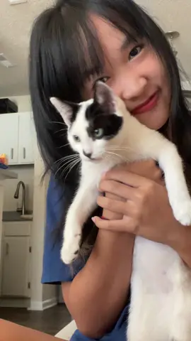 ft. kitty this time 🐱 @I AM A COW 🐮  #zxycba #teamwork #catsoftiktok #cat #cattok #viral #fypシ゚viral #girlpower 