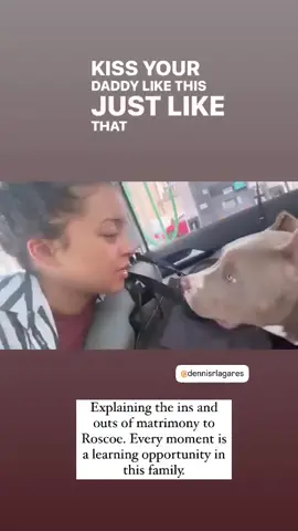 😂😭 Pre-Wedding Pep Talk with Burleson's Roscoe 🤗🥰 🐾🐾 We Don't Find Homes for new Dogs...We Match Perfect Homes for Perfect Pups 😊 www.Burlesonbullies.com 🐾🐾 #BurlesonBullies #GotTex #FckSloppy 