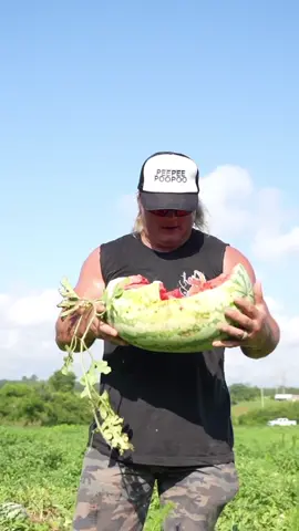 Wht’s up dudes in todays video we are giving away free watermelon and slicing and dicing these suckers. Full video on youtube #stalekracker #cajun #watermelon #funny 