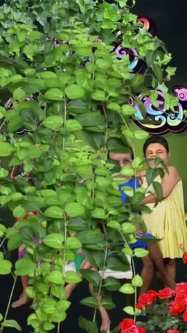 #🤣🤣🤣🤣🤣 මොකුත් කියන්නනම් එපා...#EkspresikanDenganCapCut 