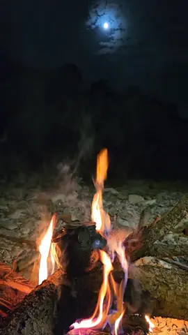 #قمر ليلة 14